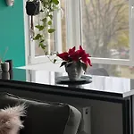 Appartement Cosy Floreasca Bucarest