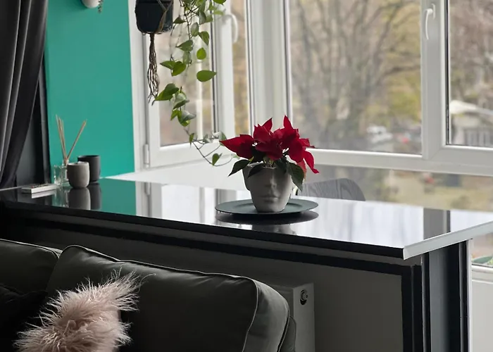 Apartment Cosy Floreasca Bucharest