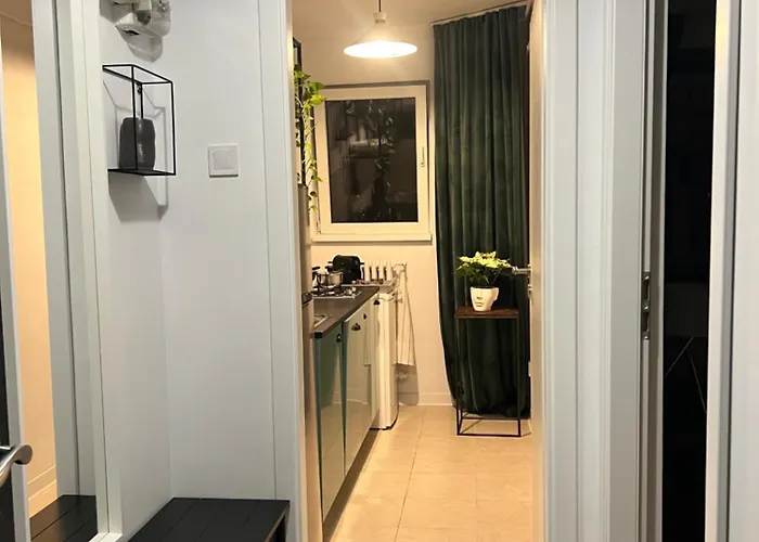 Apartment Cosy Floreasca *