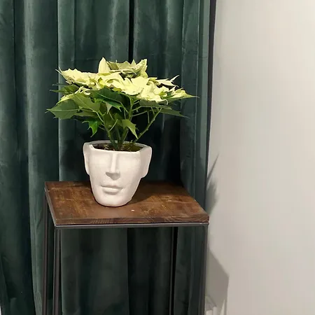 Cosy Floreasca 아파트 *