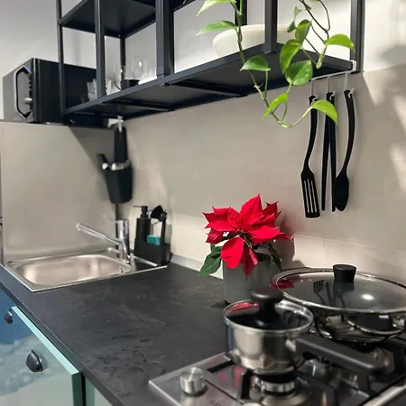 아파트 Cosy Floreasca *