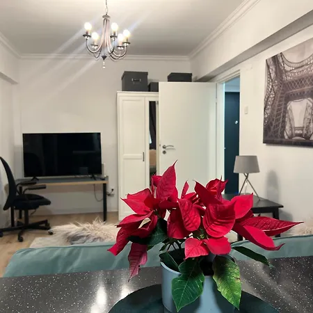Cosy Floreasca Apartamento