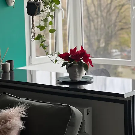 Apartament Cosy Floreasca Bukareszt