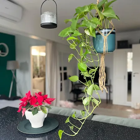 Cosy Floreasca Appartement Bucarest