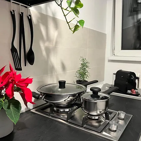 Cosy Floreasca * בוקרשט