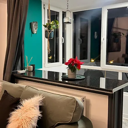 Cosy Floreasca * Бухарест