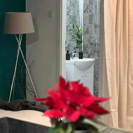 Cosy Floreasca Apartamento *