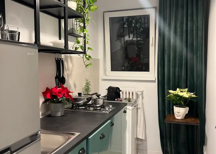 Cosy Floreasca Bucureşti