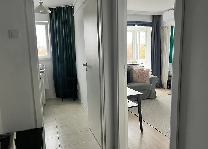 Cosy Floreasca Bucureşti