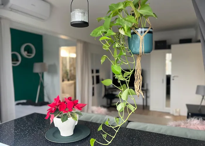 Cosy Floreasca Apartament Bucureşti