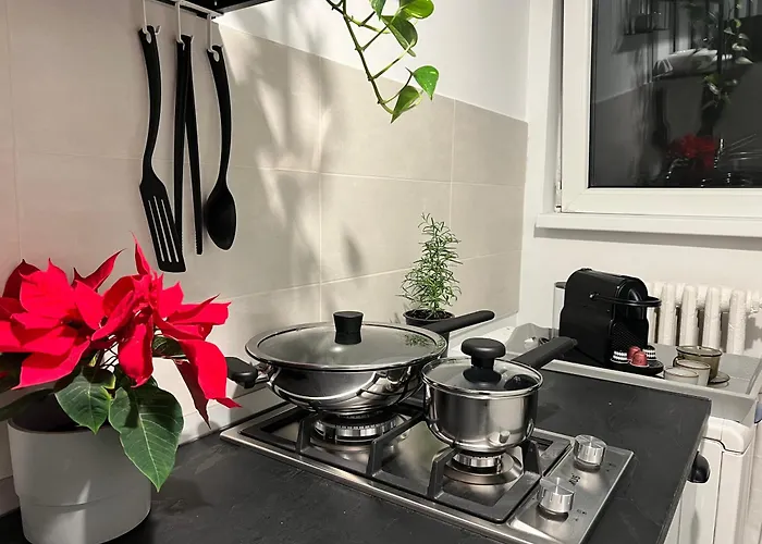 Cosy Floreasca * بوخارست