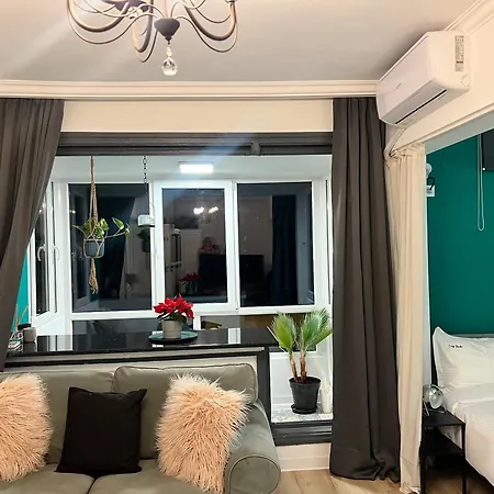 Cosy Floreasca Bukarest
